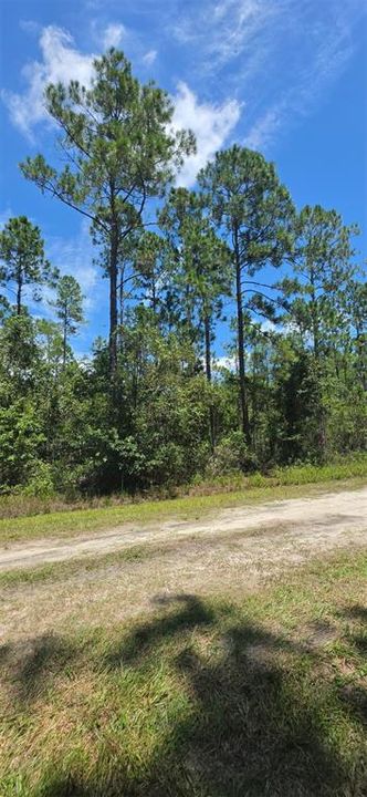 En Venta: $44,900 (1.14 acres)