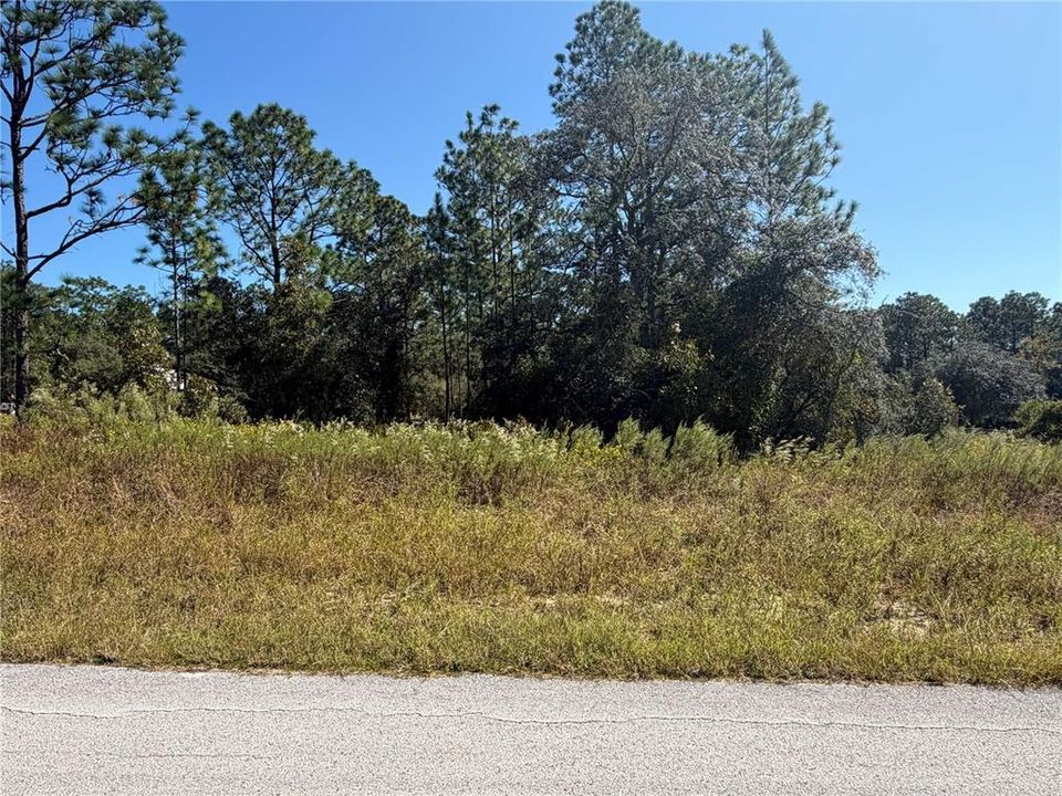 En Venta: $33,500 (0.99 acres)