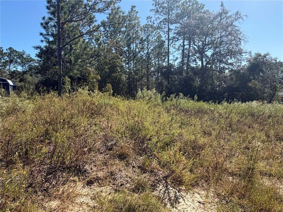 En Venta: $33,500 (0.99 acres)