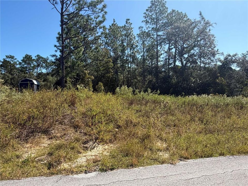 En Venta: $33,500 (0.99 acres)