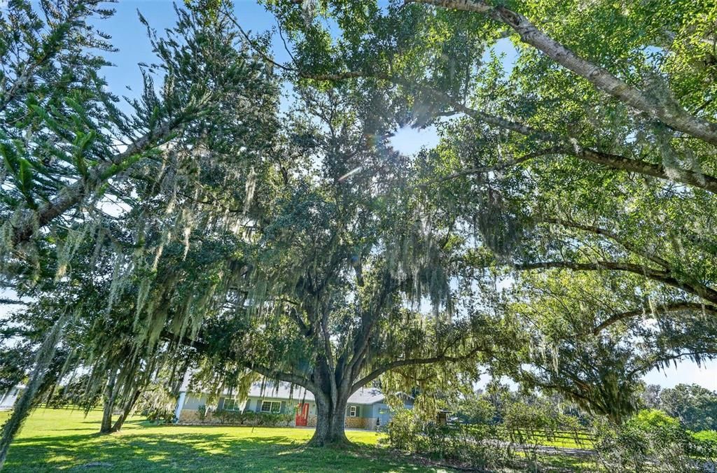 En Venta: $885,000 (3 camas, 2 baños, 2344 Pies cuadrados)