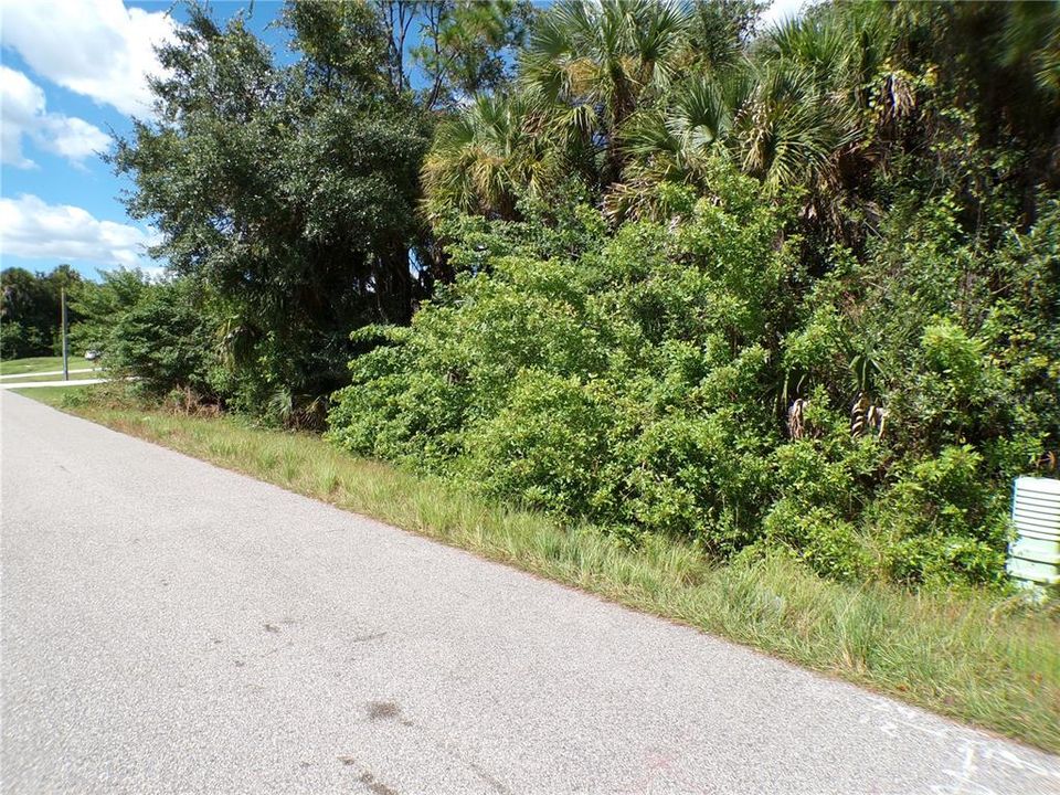 На продажу: $20,990 (0.23 acres)