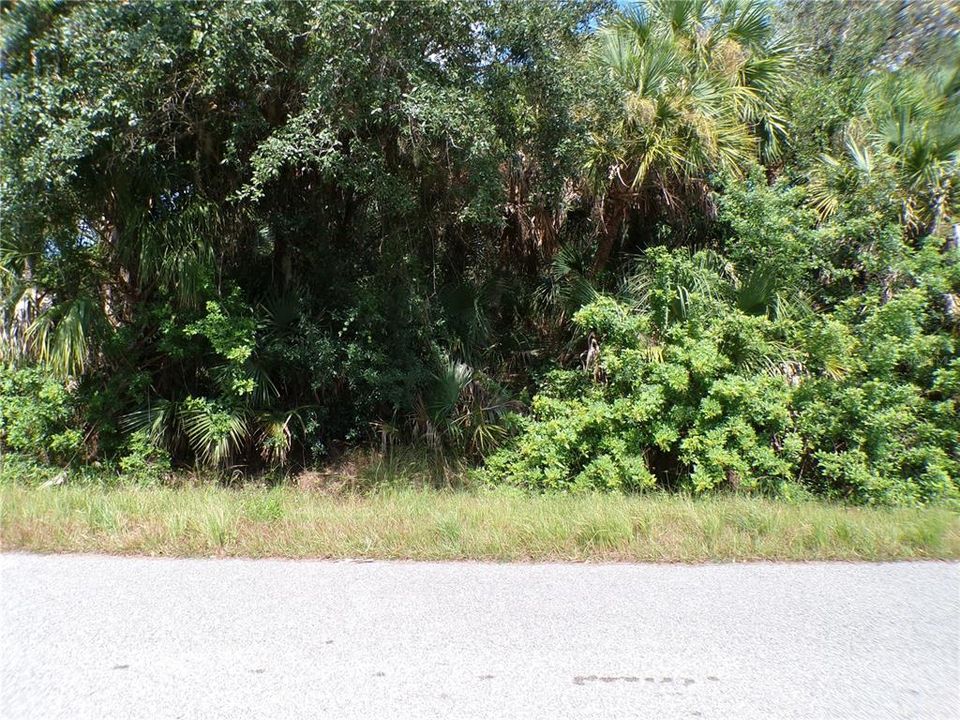 На продажу: $20,990 (0.23 acres)