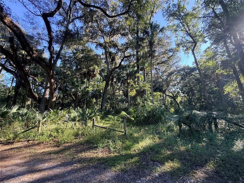 На продажу: $75,000 (3.00 acres)