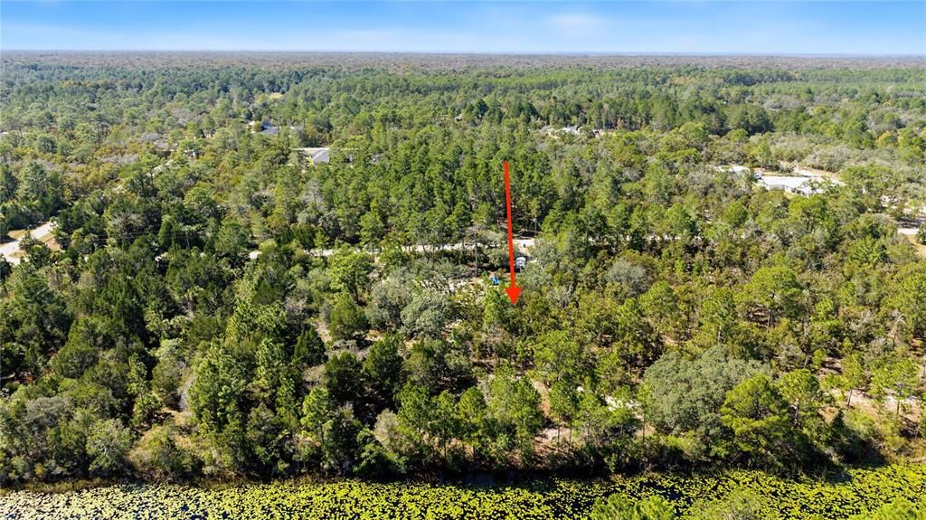 На продажу: $65,000 (1.16 acres)