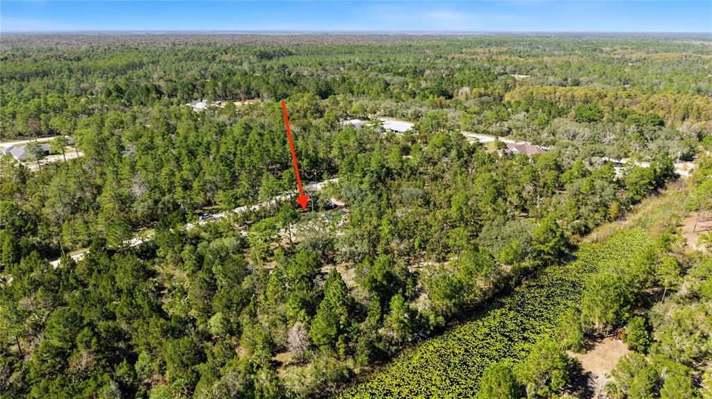 На продажу: $65,000 (1.16 acres)