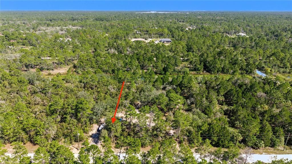 На продажу: $65,000 (1.16 acres)