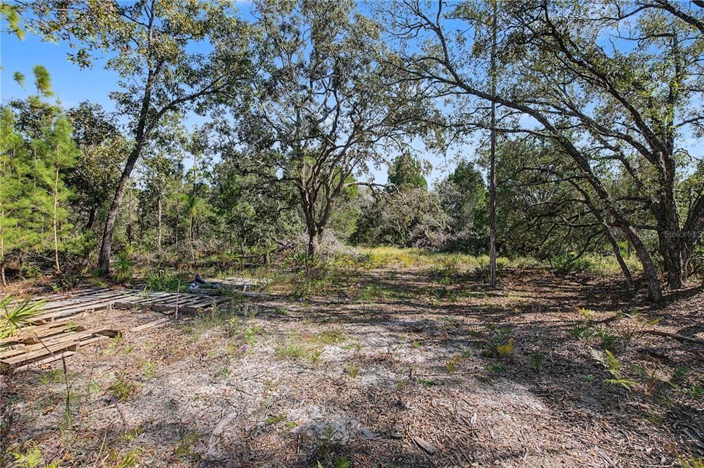 На продажу: $65,000 (1.16 acres)