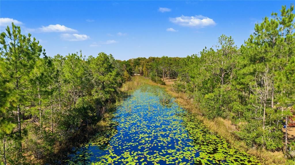На продажу: $65,000 (1.16 acres)