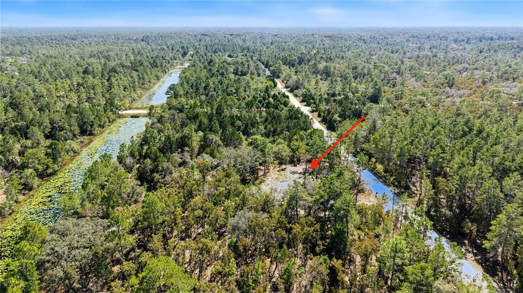 На продажу: $65,000 (1.16 acres)