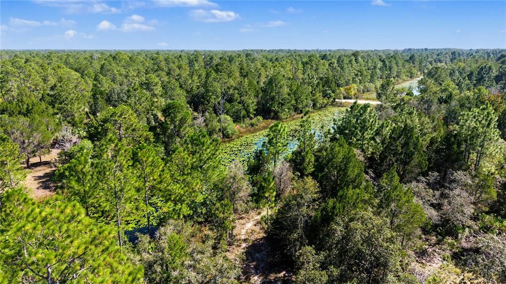 На продажу: $65,000 (1.16 acres)