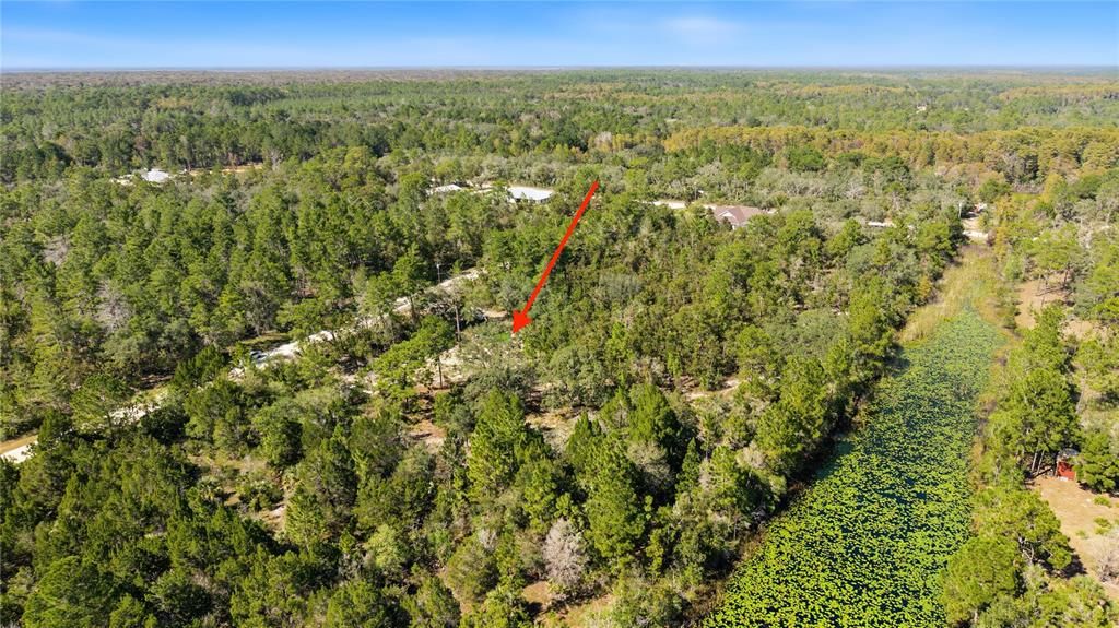 На продажу: $65,000 (1.16 acres)