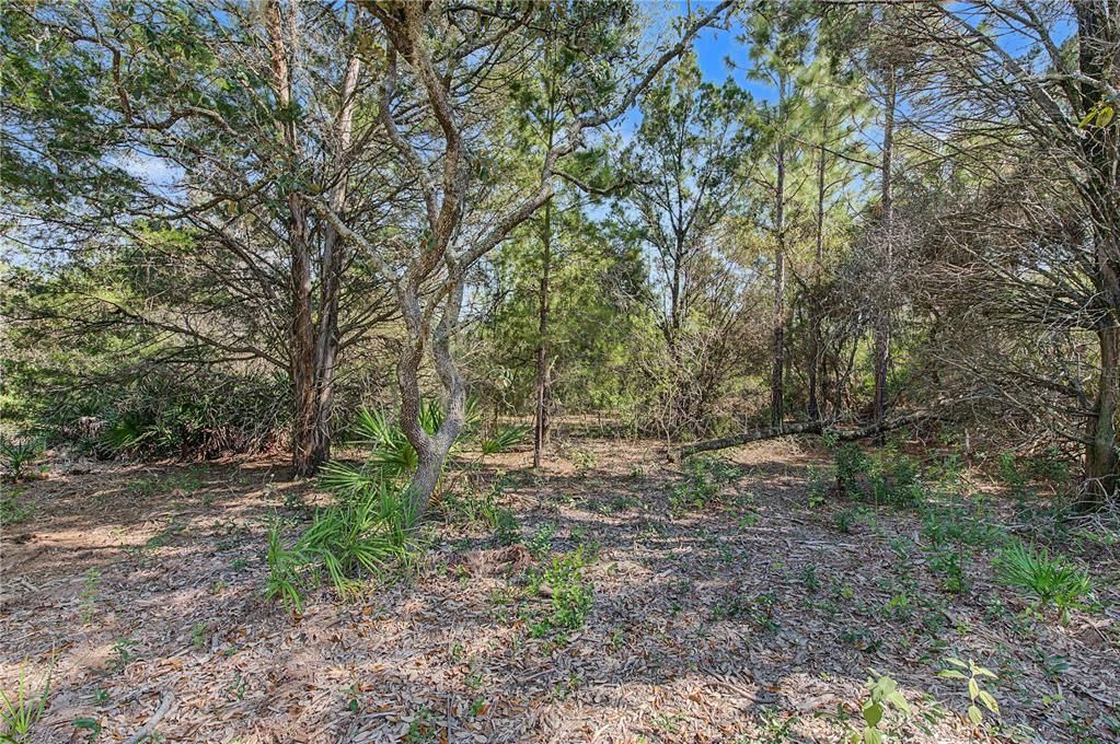 На продажу: $65,000 (1.16 acres)