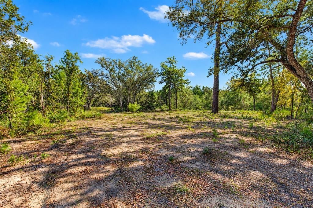 На продажу: $65,000 (1.16 acres)