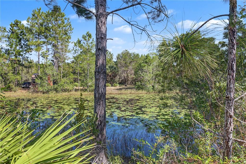 На продажу: $65,000 (1.16 acres)