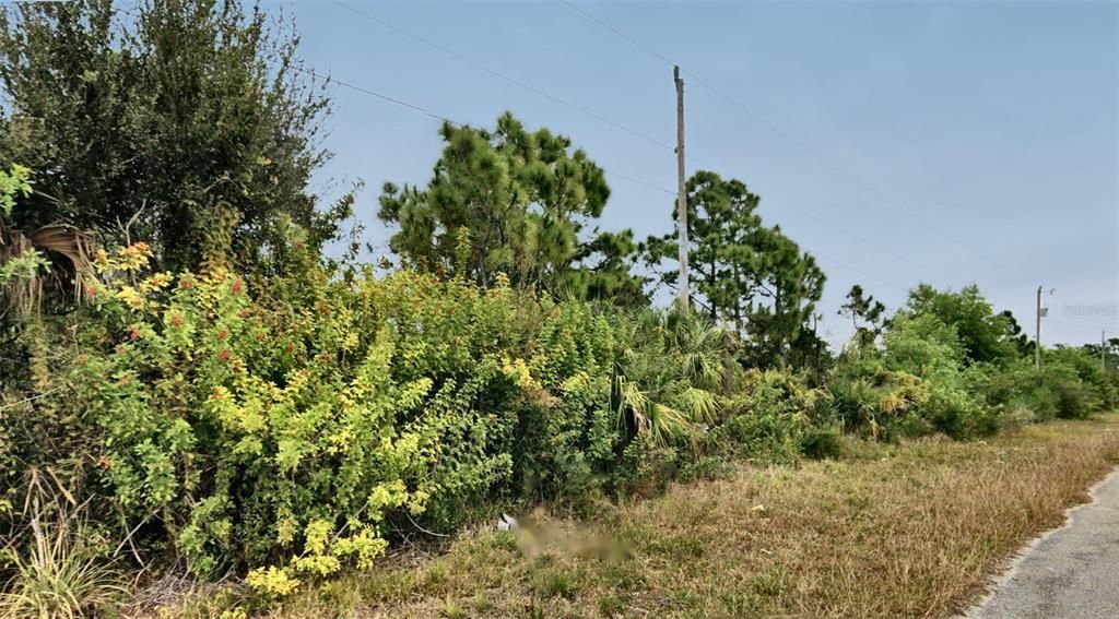 На продажу: $20,995 (0.23 acres)