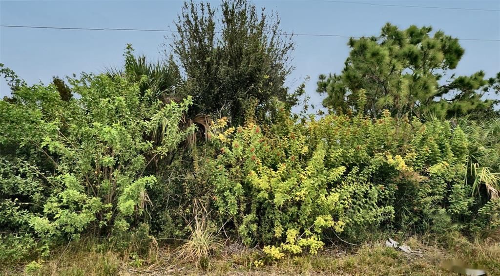 На продажу: $20,995 (0.23 acres)
