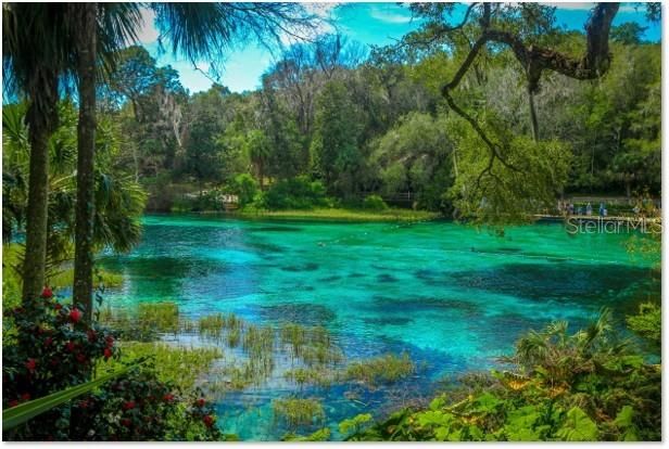 На продажу: $22,900 (0.23 acres)