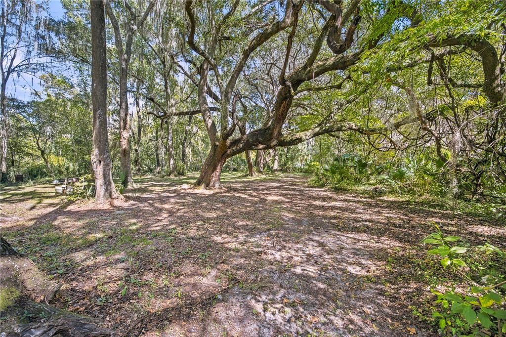 For Sale: $205,000 (3 beds, 2 baths, 1248 Square Feet)