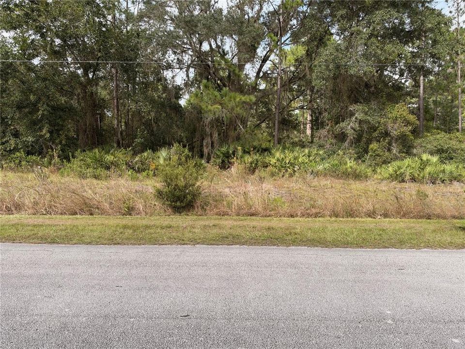 待售: $16,500 (0.27 acres)