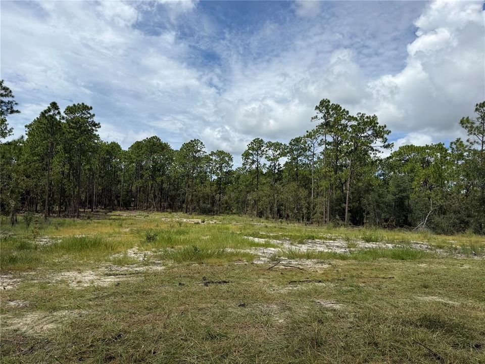 En Venta: $35,000 (1.00 acres)