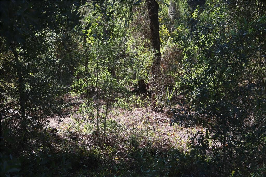 На продажу: $48,999 (2.31 acres)
