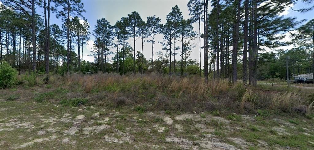 待售: $32,900 (0.35 acres)