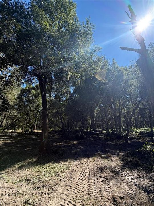 На продажу: $374,901 (5.92 acres)