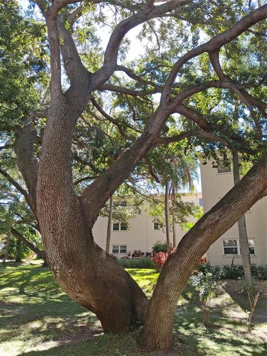 For Sale: $120,000 (2 beds, 1 baths, 1004 Square Feet)