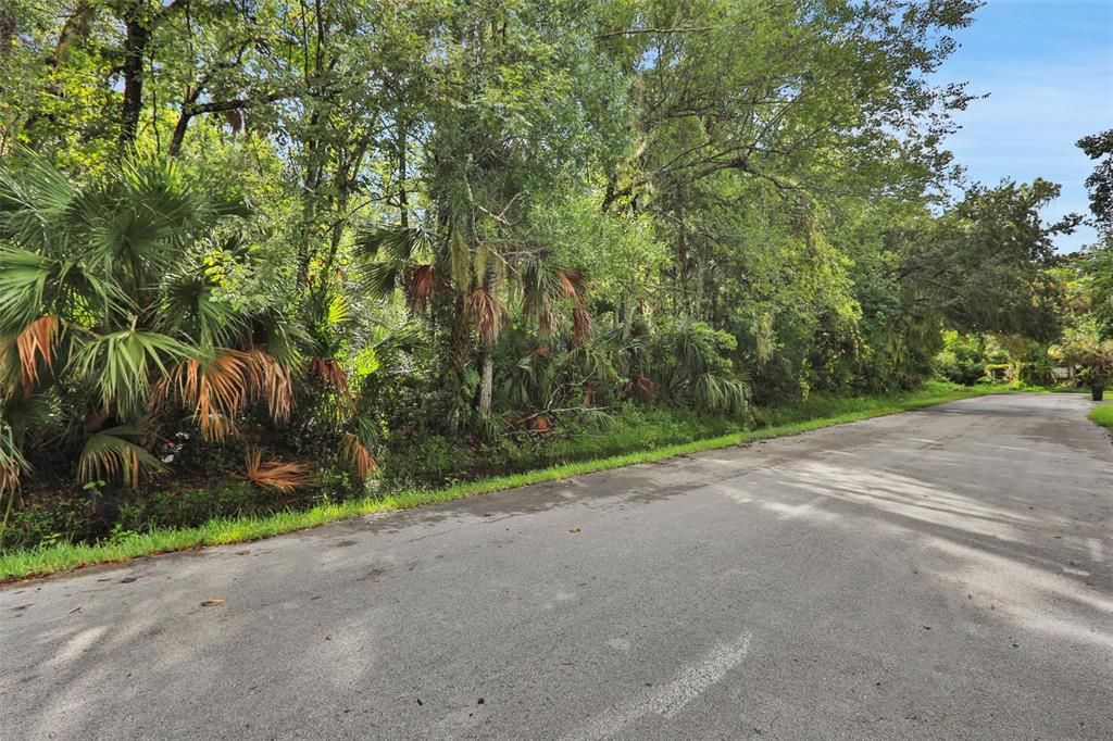 На продажу: $128,000 (1.10 acres)