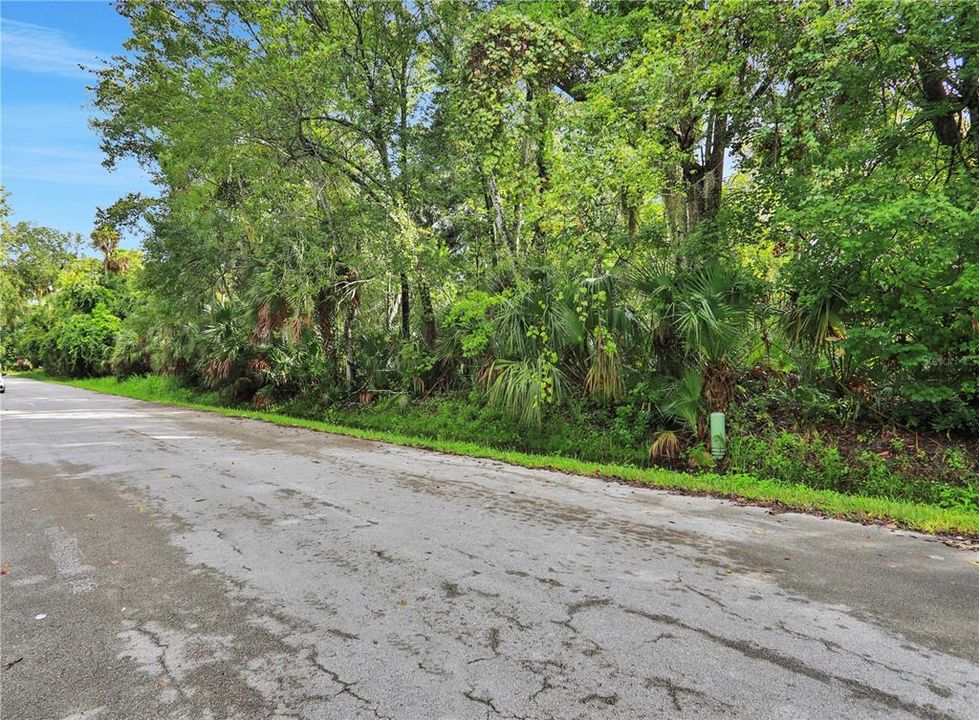 На продажу: $128,000 (1.10 acres)
