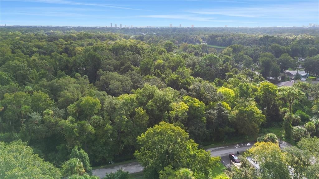 На продажу: $128,000 (1.10 acres)