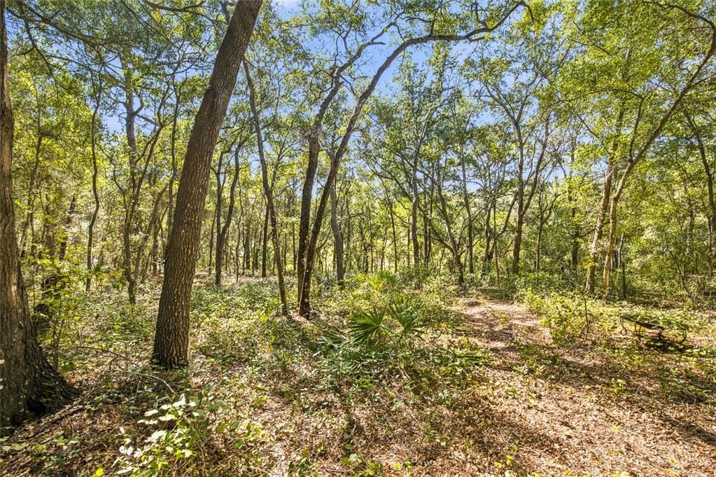 На продажу: $149,900 (3.04 acres)