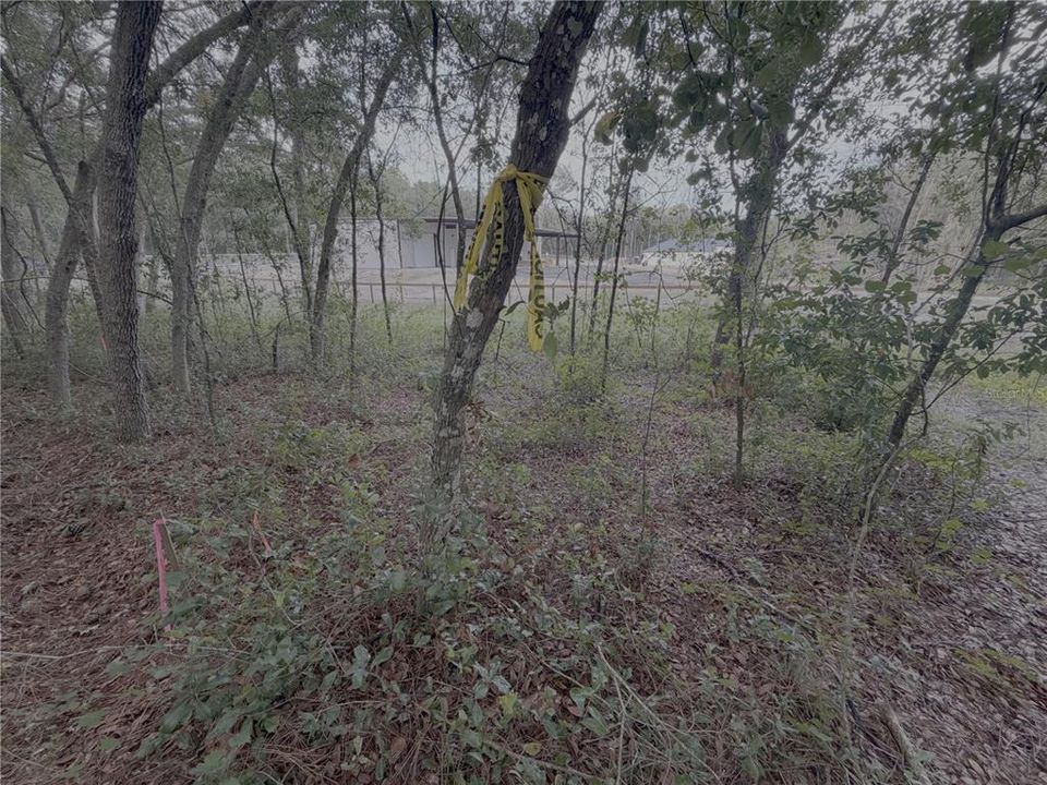 For Sale: $329,000 (3.16 acres)