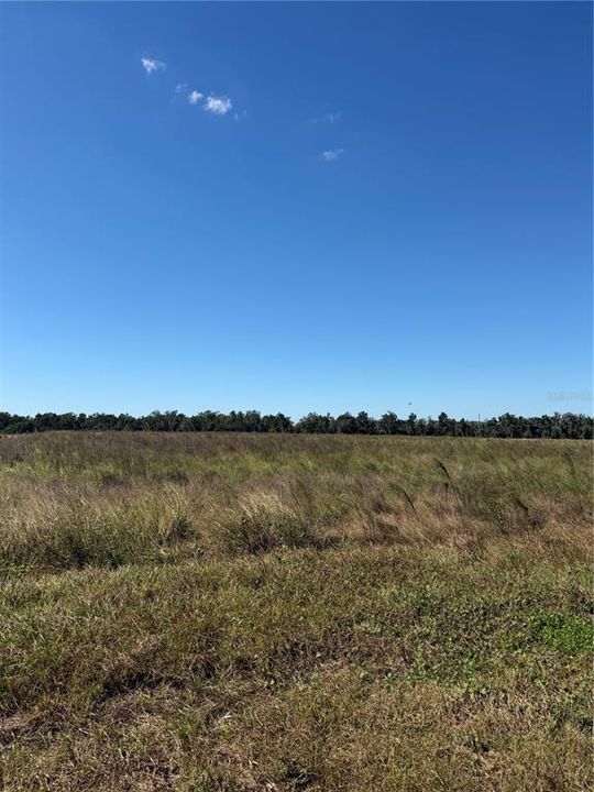 En Venta: $100,000 (2.51 acres)