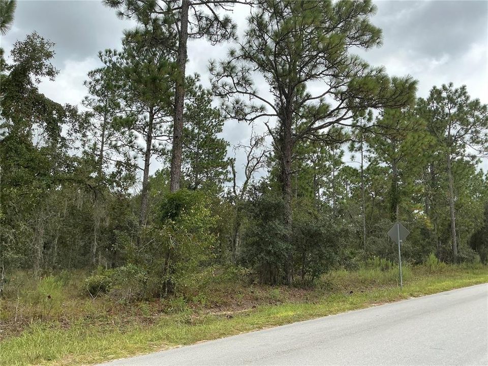 На продажу: $68,000 (1.03 acres)