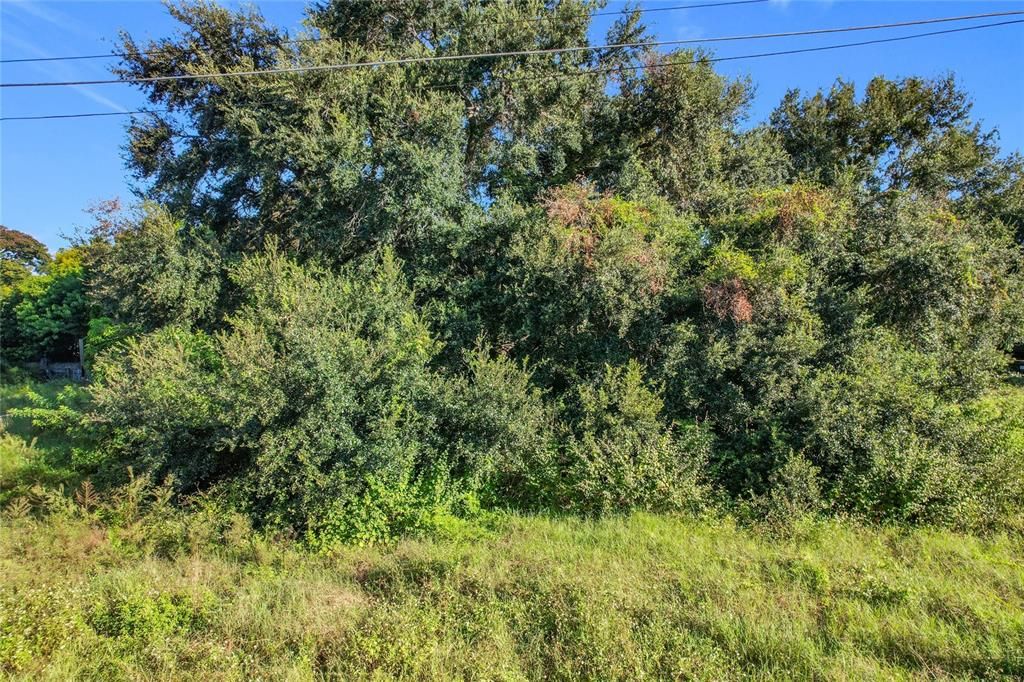 На продажу: $180,000 (0.68 acres)