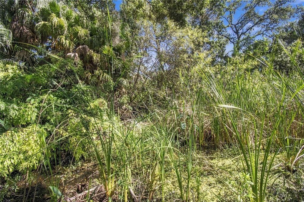 En Venta: $529,900 (4 camas, 2 baños, 1792 Pies cuadrados)