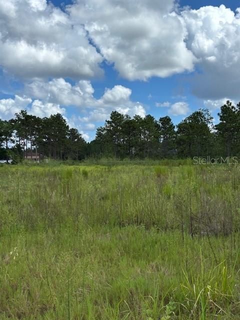 For Sale: $339,000 (2.17 acres)