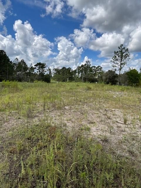 For Sale: $339,000 (2.17 acres)
