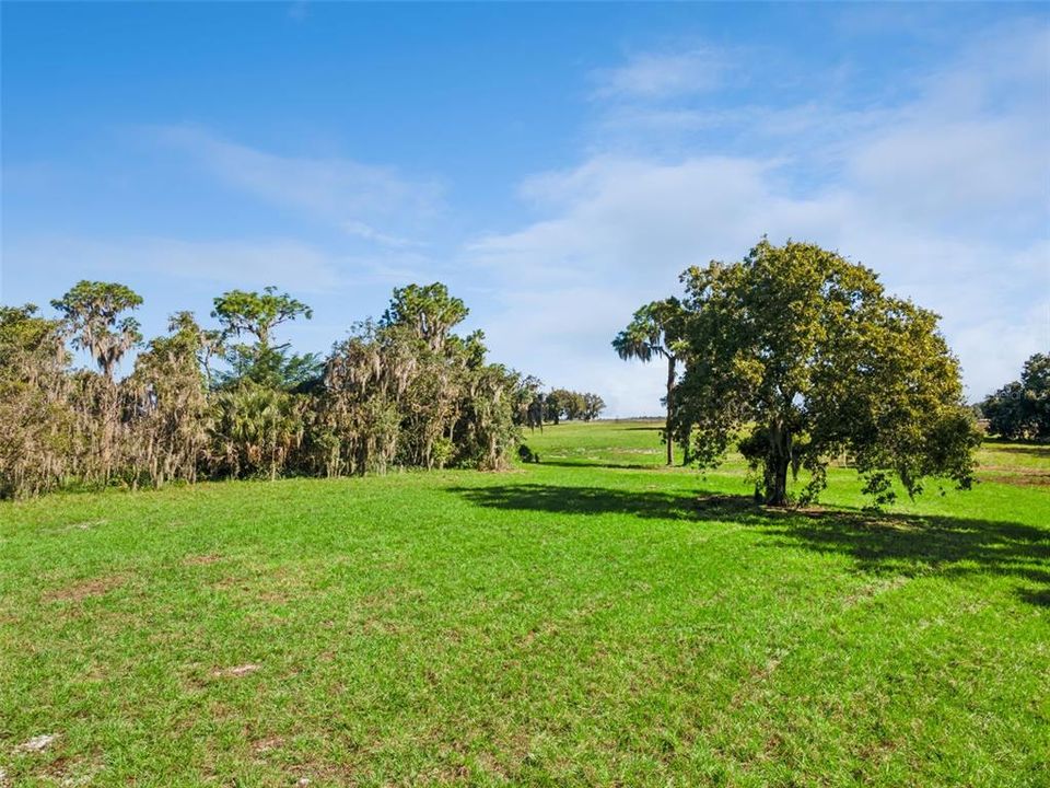На продажу: $850,000 (17.10 acres)