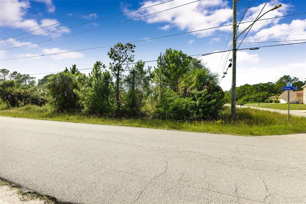 For Sale: $24,990 (0.25 acres)