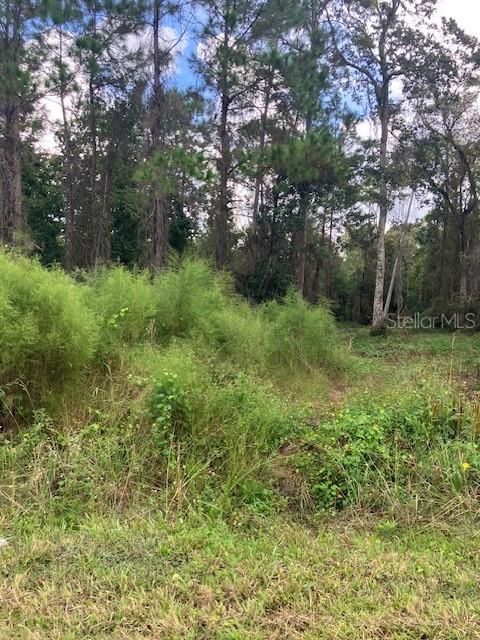 For Sale: $59,999 (1.14 acres)