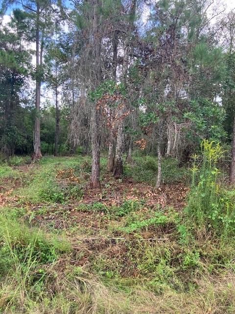 For Sale: $59,999 (1.14 acres)