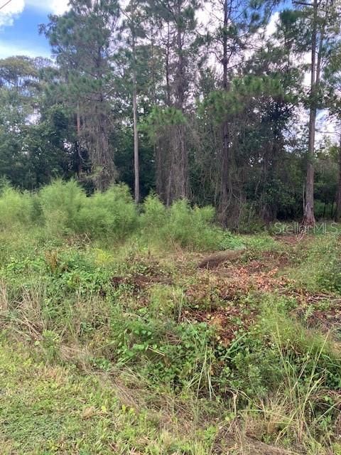 For Sale: $59,999 (1.14 acres)