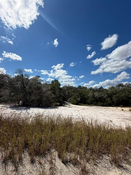 待售: $13,900 (0.23 acres)