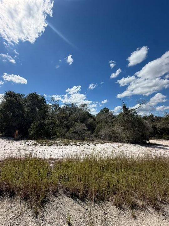 待售: $13,900 (0.23 acres)