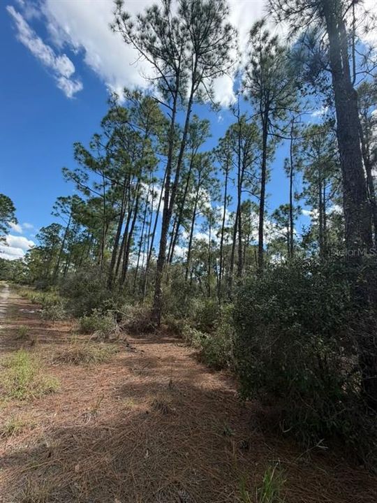 待售: $13,900 (0.23 acres)