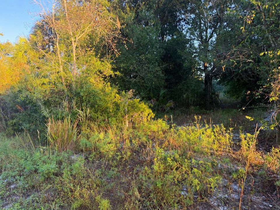 На продажу: $39,900 (1.25 acres)