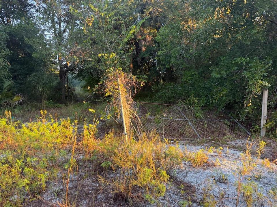 На продажу: $39,900 (1.25 acres)